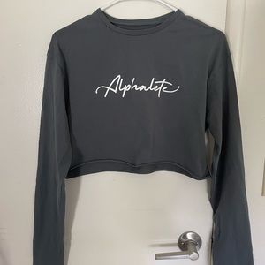 Alphalete Logo Cropped Longsleeve | SIZE S | Slate Grey